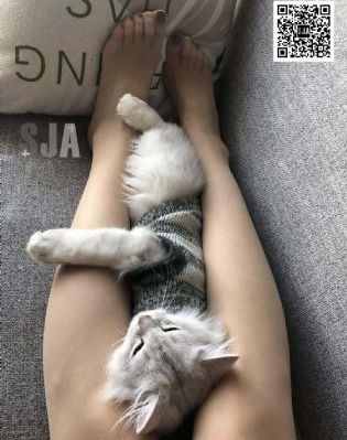 任你躁在线精品免费观看_BD英语在线观看视频